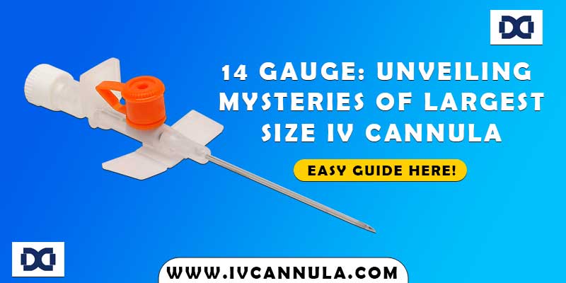 14 Gauge: Unveiling Mysteries of Largest Size IV Cannula