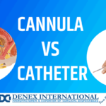 Cannula vs Catheter