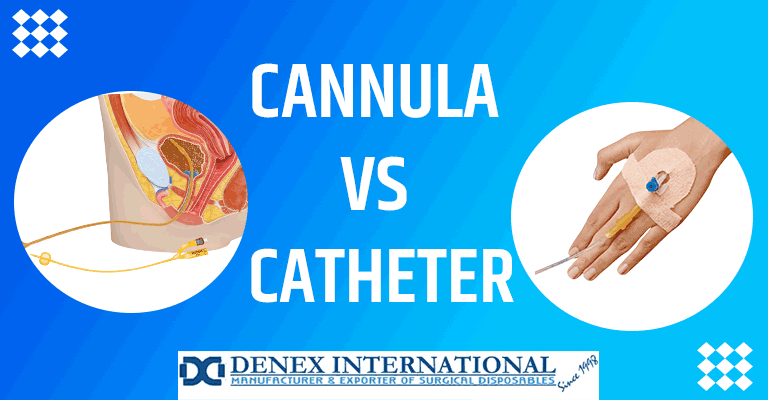Cannula vs Catheter